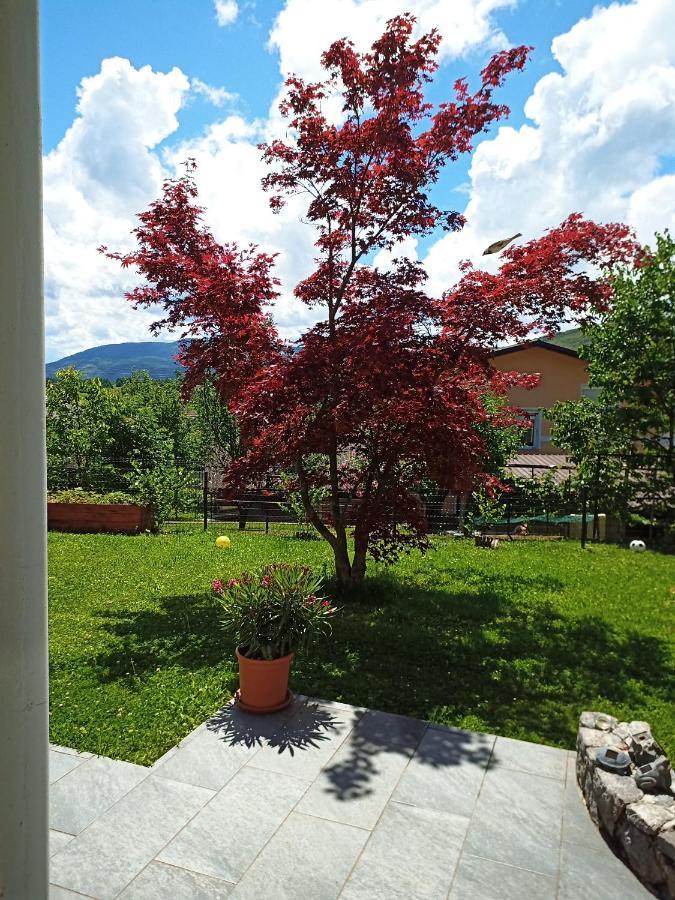 Dolenjska Vila Zuzemberk エクステリア 写真
